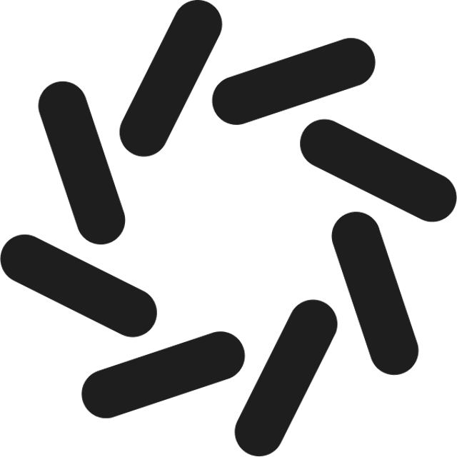 Domino Data Lab