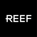 REEF