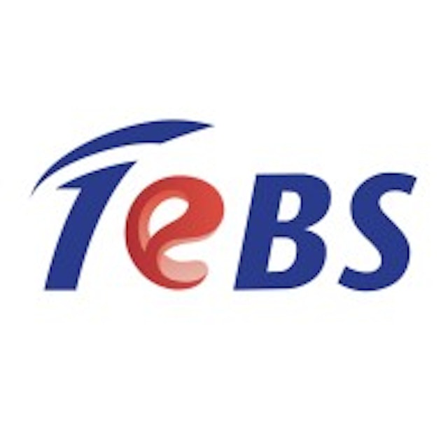 Total eBiz Solutions