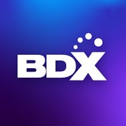 BDX - Builders Digital Experience, LLC