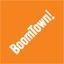 BoomTown ROI